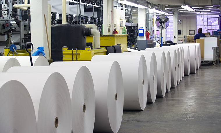 Paper & Pulp